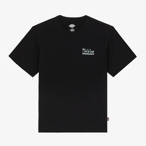 Image Футболка Dickies Vernal 'Black'