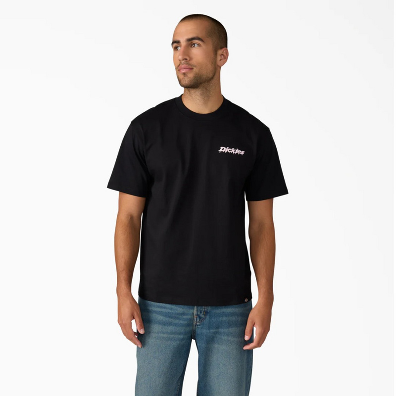 Изображение Футболка Dickies Statesville 'Black'