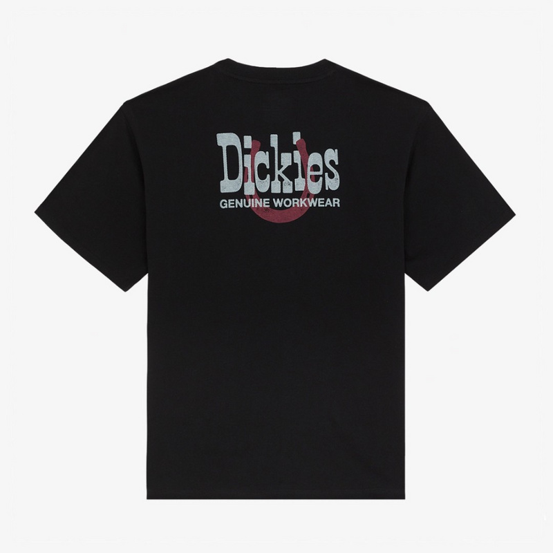 Изображение Футболка Dickies Vernal 'Black'