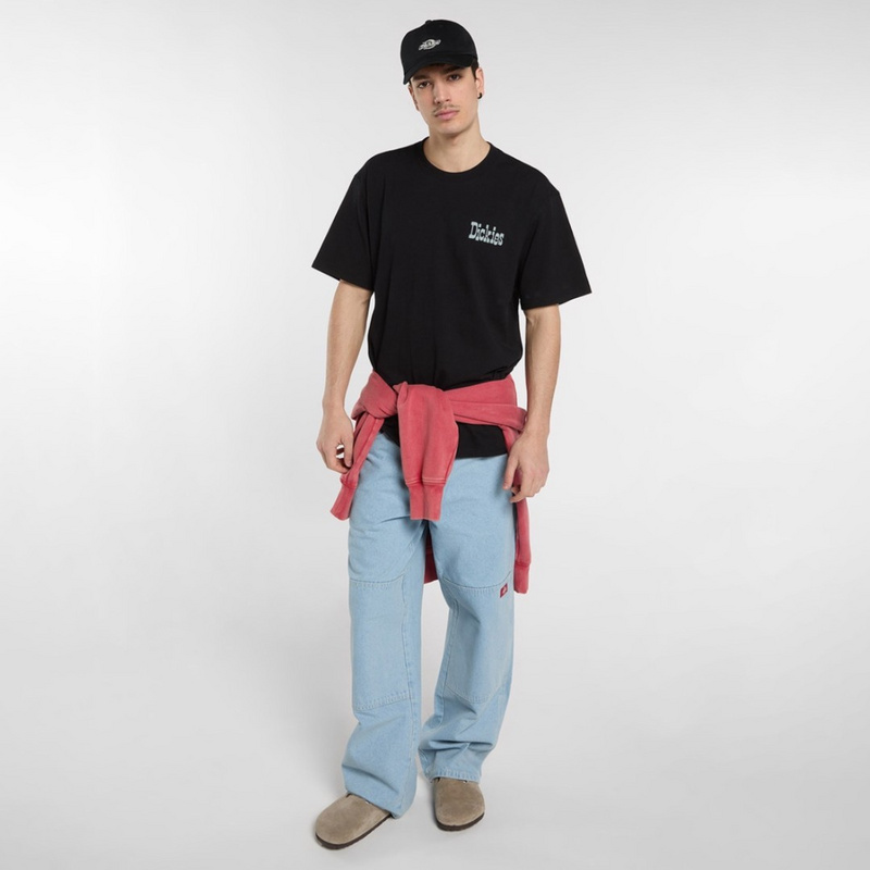 Изображение Футболка Dickies Vernal 'Black'
