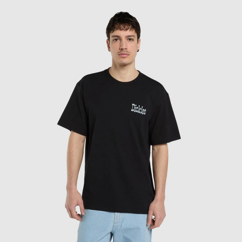 Изображение Футболка Dickies Vernal 'Black'
