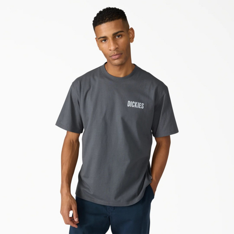 Изображение Футболка Dickies Wolfhurst 'Grey'
