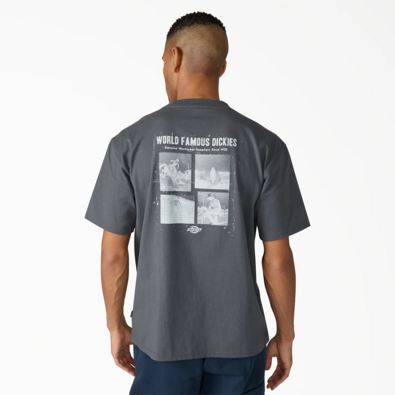 Изображение Футболка Dickies Wolfhurst 'Grey'