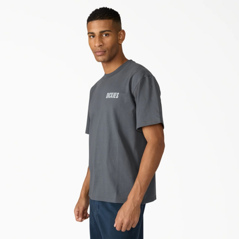 Изображение Футболка Dickies Wolfhurst 'Grey'