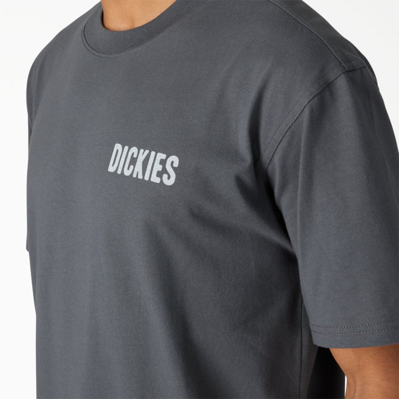 Изображение Футболка Dickies Wolfhurst 'Grey'