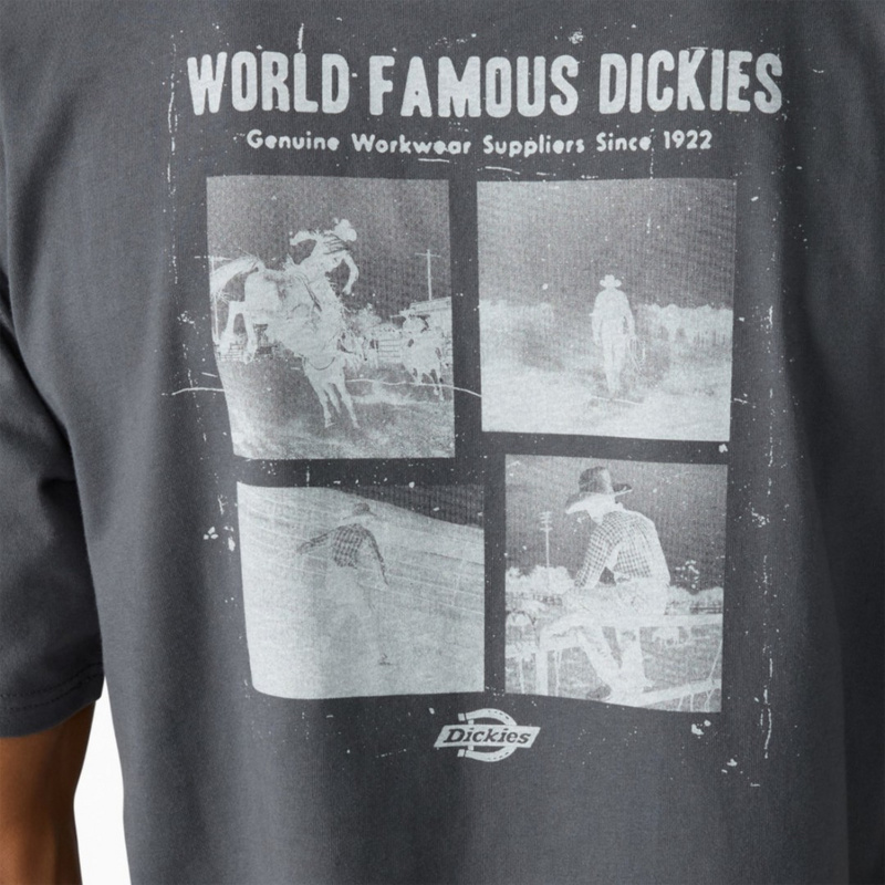 Изображение Футболка Dickies Wolfhurst 'Grey'